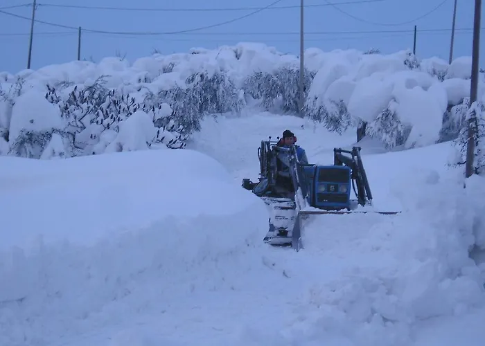 Le Essenze - Terrazza Sulla Romagna Lantgård